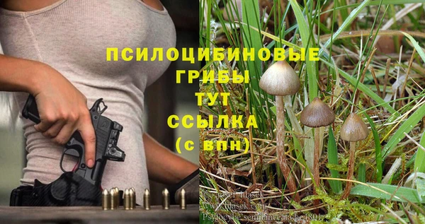 apvp Верхний Тагил