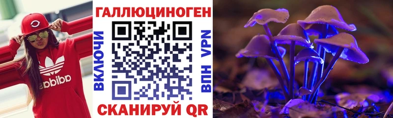 Купить где  Исилькуль  Псилоцибиновые грибы GOLDEN TEACHER 
